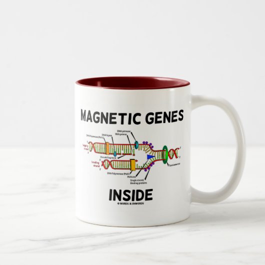 Magnetische Gene im Inneren (DNA-Replikation) Zweifarbige Tasse (Rechts)