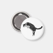 Magnetische Katzendetail Magnet (Vorderseite/Rückseite)
