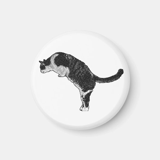 Magnetische Katzendetail Magnet (Vorne)