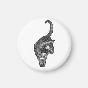 Magnetische Katzenstimmung Magnet