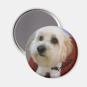 Magnetische Persönlichkeiten - Freddie Magnet (Vorderseite/Rückseite)