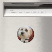 Magnetische Persönlichkeiten - Freddie Magnet (In Situ (Geschirrspüler))