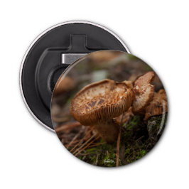 Magnetisierter, PhotoFlaschenöffner Pilze Flaschenöffner