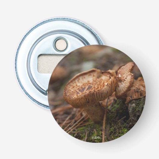 Magnetisierter, PhotoFlaschenöffner Pilze Flaschenöffner (Vorderseite)