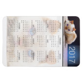 Magnetkalender der Katze 01 Magnet (Horizontal)