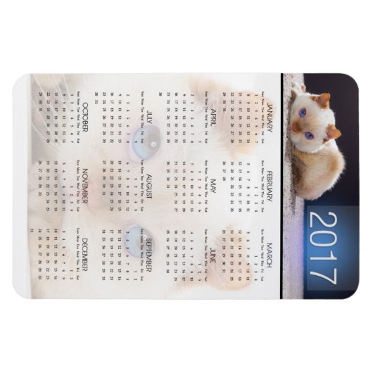 Magnetkalender der Katze 01 Magnet (Horizontal)
