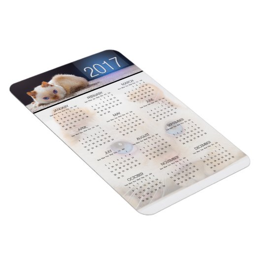 Magnetkalender der Katze 01 Magnet (Rechte Seite)