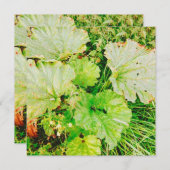 Magnetkarte (Vorne/Hinten)