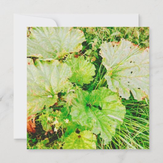 Magnetkarte (Rückseite)