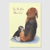 Magnetkarte (Vorderseite)