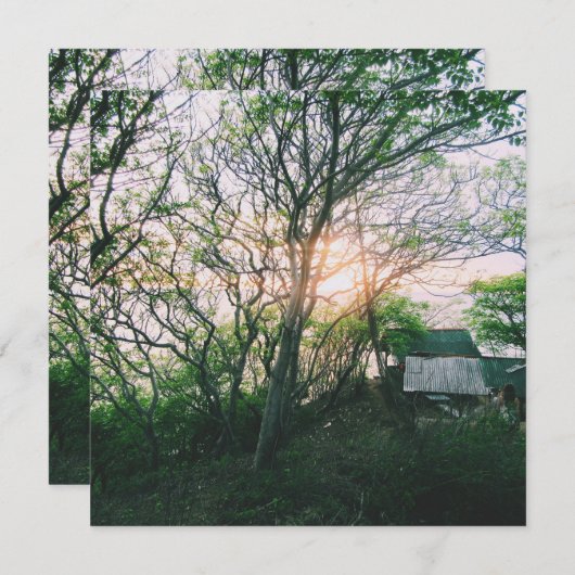 Magnetkarte (Vorne/Hinten)