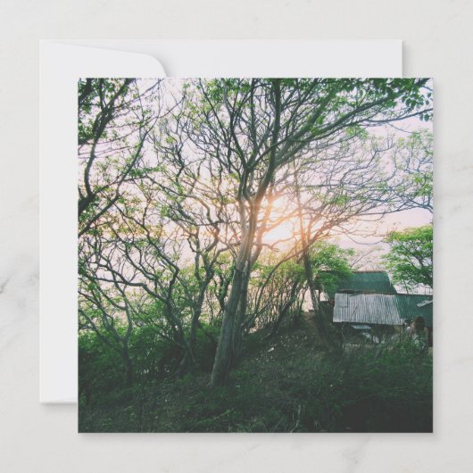 Magnetkarte (Rückseite)