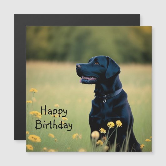 Magnetkarte aus schwarzem Labor (Vorne/Hinten)