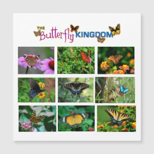 Magnetkarte der Butterfly-Weltkarte