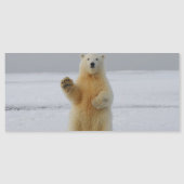 Magnetkarte des Polarbärs (Vorderseite)