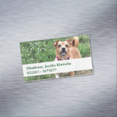 Magnetkarten Magnetische Visitenkarte (Beispiel)