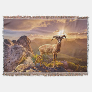 Magnificent Antelope Decke