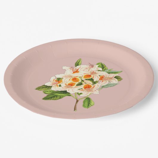 Magnificent azalea, floral pappteller (Schrägansicht)