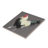 Magnificent Cockerel No. 1 Fliese (Seite)