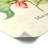 Magnificent Hummingbird Art Print Poster (Ecke)