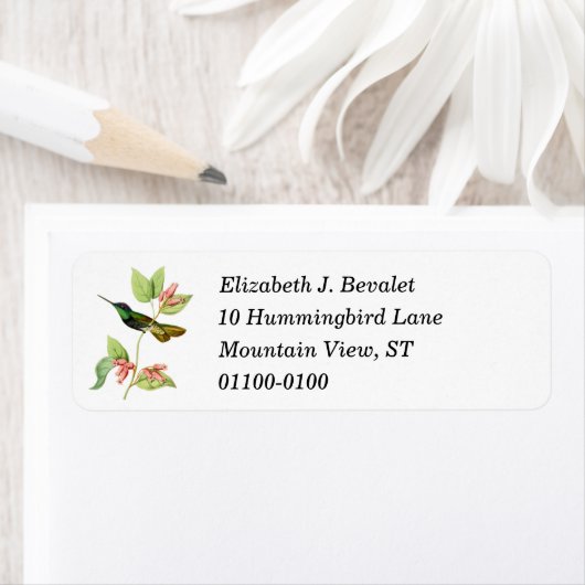 Magnificent Hummingbird Return Address Label (Insitu)