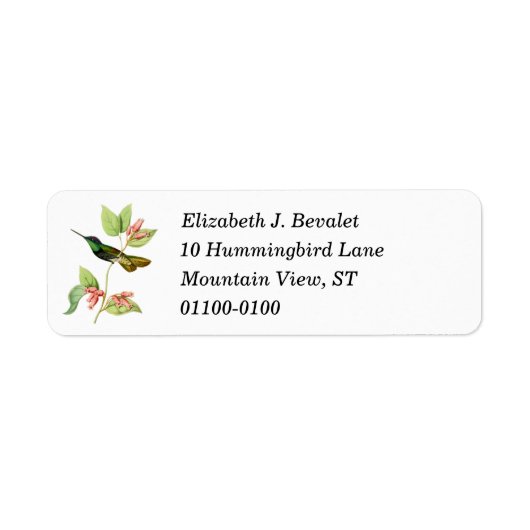 Magnificent Hummingbird Return Address Label (Vorne)