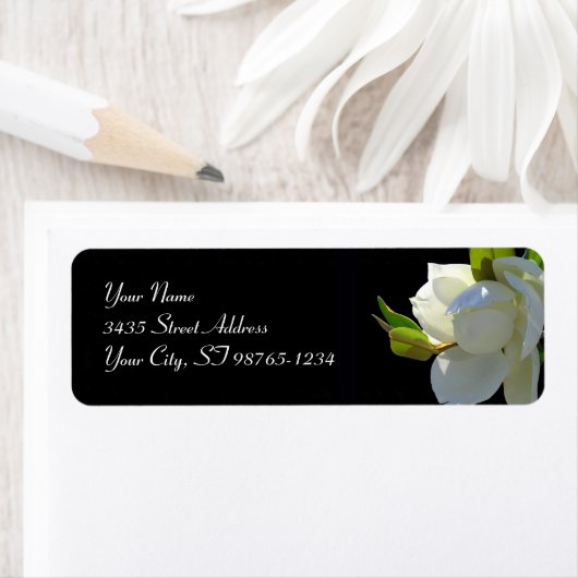 Magnificent Magnolia (Insitu)