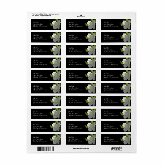 Magnificent Magnolia (Vorne)