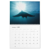 Magnificent Manta Rays Kalender (Jan 2027)
