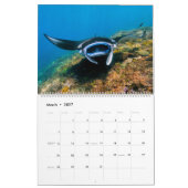 Magnificent Manta Rays Kalender (Mär 2027)