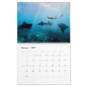 Magnificent Manta Rays Kalender (Feb 2027)