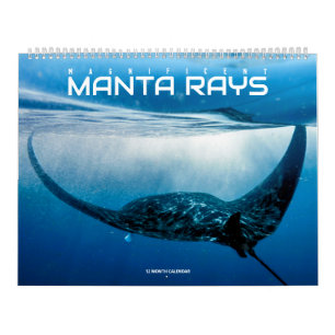 Magnificent Manta Rays Kalender