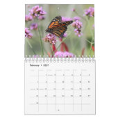 Magnificent Monarchs 2025 Calendar Kalender (Feb 2027)