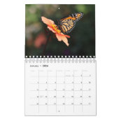 Magnificent Monarchs 2025 Calendar Kalender (Jan 2026)