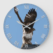 Magnificent Red-Tailed Hawk Raptor Bird of Prey Große Wanduhr (Vorderseite)
