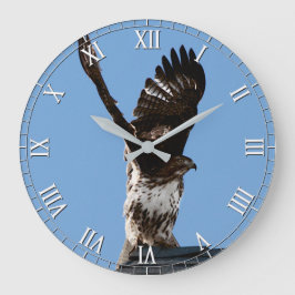 Magnificent Red-Tailed Hawk Raptor Bird of Prey Große Wanduhr
