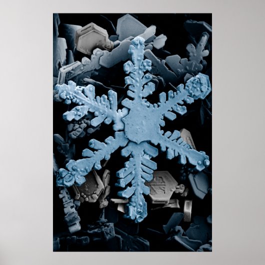 Magnified Hexagonal Dendrite Snowflake Poster (Vorne)