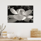 Magnolia 1.2009 poster (Küche)