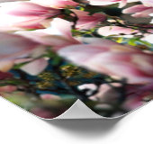 Magnolia Alley - Poster (Ecke)