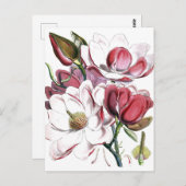 Magnolia Asiatische Blume Vintag Alte Illustration Postkarte (Vorne/Hinten)
