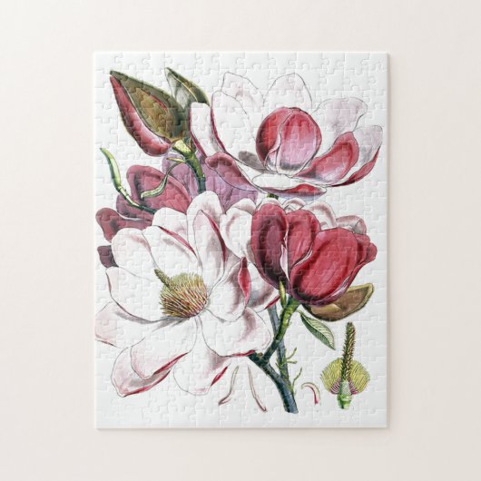 Magnolia Asiatische Blume Vintag Alte Illustration Puzzle (Vertikal)