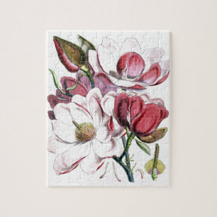 Magnolia Asiatische Blume Vintag Alte Illustration Puzzle