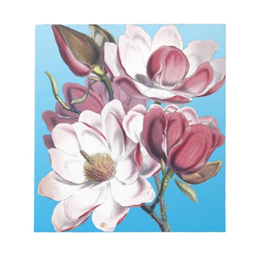 Magnolia auf blau notizblock (Vorderseite)