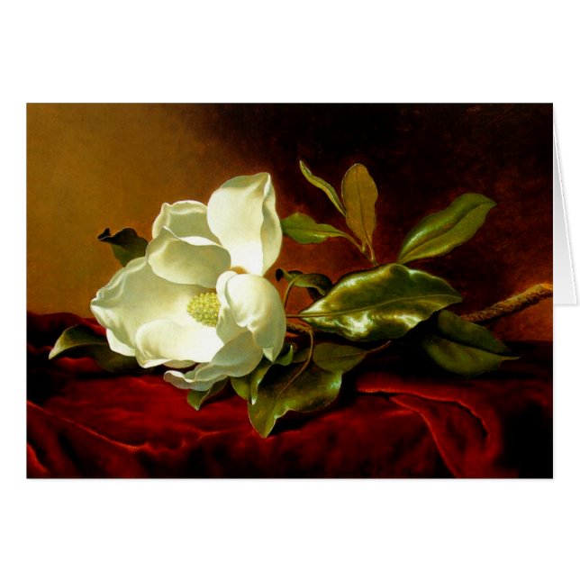 Magnolia auf der Roten Velvet (Vorderseite (Horizontal))