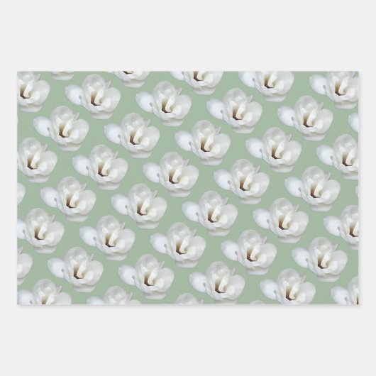 Magnolia auf Grün Geschenkpapier Set (Vorderseite 3)