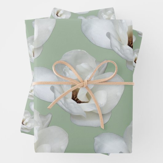 Magnolia auf Grün Geschenkpapier Set (Beispiel)