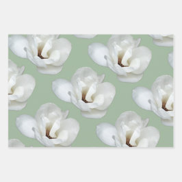 Magnolia auf Grün Geschenkpapier Set