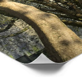 Magnolia Bäume, Branchen und Blossom 03 Poster (Ecke)