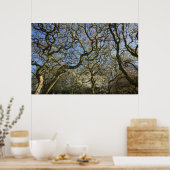 Magnolia Bäume, Branchen und Blossom 03 Poster (Küche)