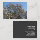 Magnolia Bäume in Blossom Visitenkarte (Vorne/Hinten)